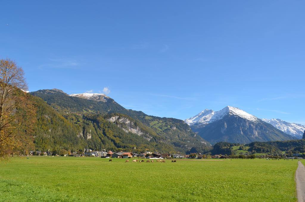 迈林根Mountain-Panorama公寓 外观 照片