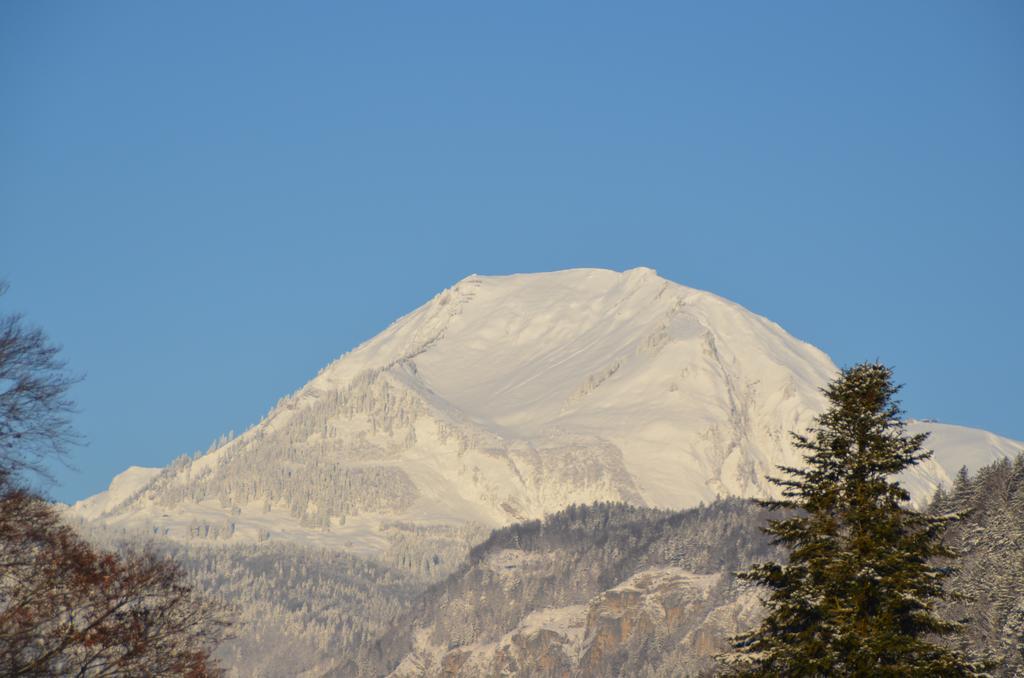 迈林根Mountain-Panorama公寓 外观 照片